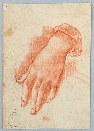 Estudio de la mano izquierda de una mujer de Unknown artist