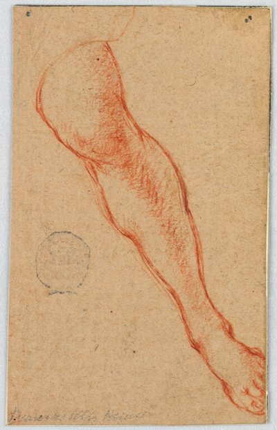 Estudio de la pierna izquierda de una mujer sentada de Unknown artist