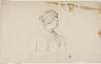 Estudio de la Venus de Médici de Unknown artist