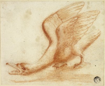 Cisne de Unknown artist