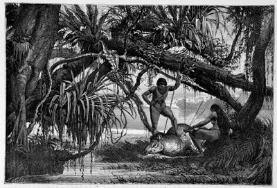 Tapir matado por indios de Brasil - en 