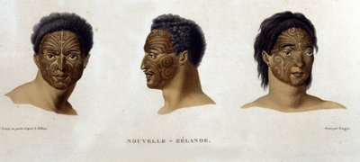 Tatuajes de un nativo de Nueva Zelanda. de Unknown artist