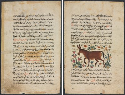Página de texto, prosa persa (Recto); Khar (Asno) (Verso) de Unknown artist