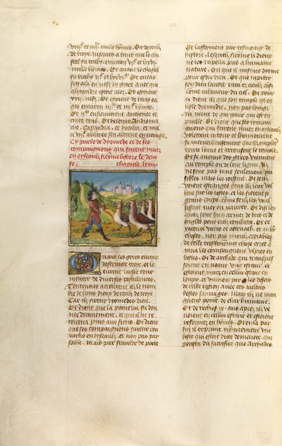 Los compañeros de Diomedes cambiados por gansos de Unknown artist