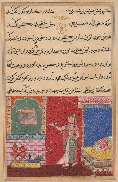 El loro se dirige a Khujasta al comienzo de la Decimoquinta Noche, de un Tuti-nama (Cuentos de un loro) de Unknown artist