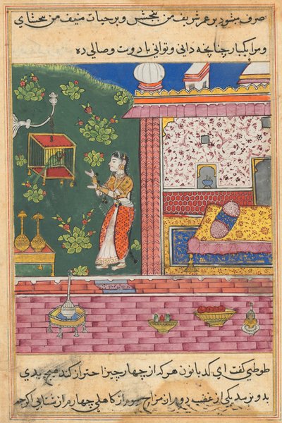 El loro se dirige a Khujasta al comienzo de la trigésima noche, de un Tuti-nama (Cuentos de un Loro) de Unknown artist