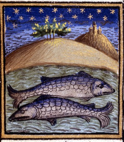 Los Piscis. Miniatura de un horóscopo. Manuscrito del siglo XV. Bibl. Trivulziana, Milán de Unknown artist
