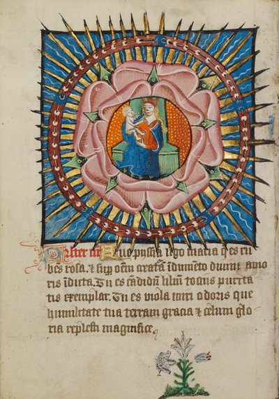 La Virgen y el Niño en una rosa con un lirio blanco de Unknown artist
