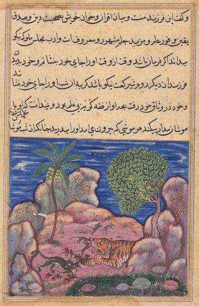 El gato ataca a los ratones que perturban al león, de un Tuti-nama (Cuentos de un loro): Decimoquinta Noche de Unknown artist