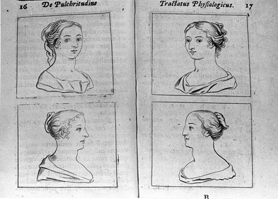Los diferentes perfiles femeninos. Página tomada de 