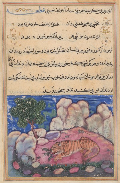 El león perturbado por los ratones que comen la comida atrapada en sus dientes envejecidos, de un Tuti-nama (Cuentos de un loro): Decimoquinta Noche de Unknown artist