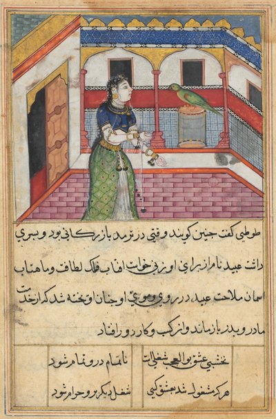 El loro se dirige a Khujasta al comienzo de la cuadragésima segunda noche, de un Tuti-nama (Cuentos de un loro) de Unknown artist