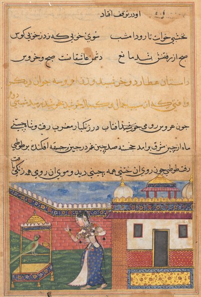 El loro se dirige a Khujasta al comienzo de la trigésima segunda noche, de un Tuti-nama (Cuentos de un Loro) de Unknown artist
