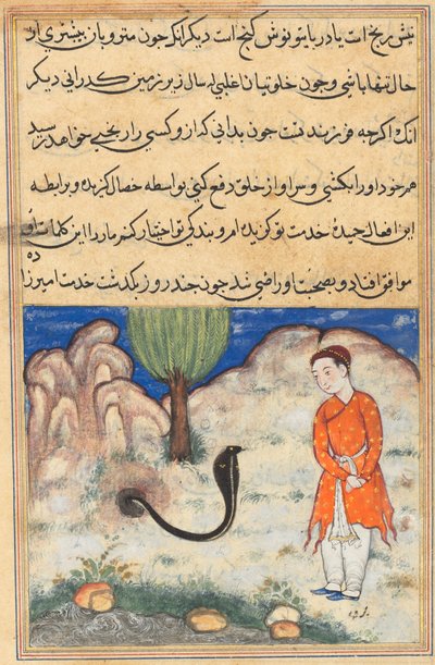 El príncipe, hijo del gobernante de Sistan, entra al servicio de una serpiente, de un Tuti-nama (Cuentos de un loro): Trigésima séptima noche de Unknown artist