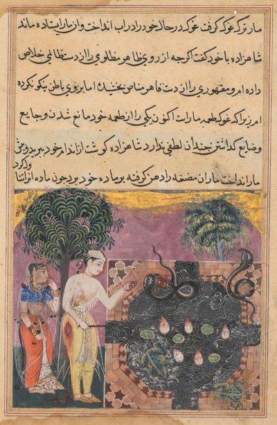 El príncipe, habiendo privado a la serpiente de su alimento natural, una rana, la alimenta con un pedazo de su propia carne, de un Tuti-nama (Cuentos de un Loro): Decimoctava Noche de Unknown artist
