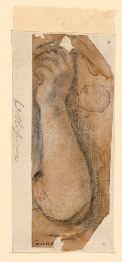 El antebrazo levantado de una mujer de Unknown artist