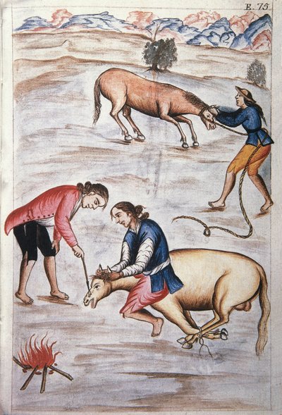 El hierro rojo marcando una yegua, del libro "Trujillo del Perú" o "Códice Martínez Compañón", por Baltazar Martínez Compañón y Bujanda, obispo de Trujillo (1782-1785) de Unknown artist