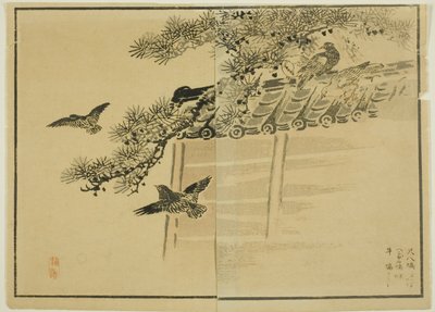 Tres tipos de pájaros junto a un muro de Unknown artist