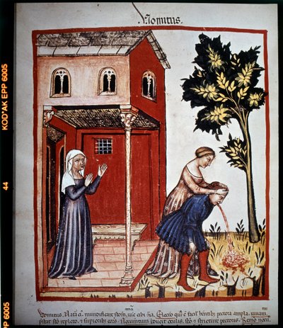 Tratado de medicina "Tacuinum sanitatis" del siglo XIV: vómito. B.N, Viena. de Unknown artist