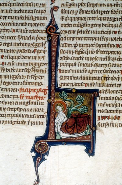 Árbol de Jesé, padre del rey David de Unknown artist