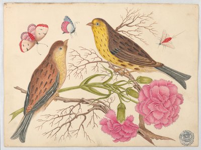 Dos Pájaros Marrón y Amarillo en Ramas con Claveles e Insectos de Unknown artist