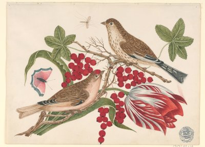 Dos Pájaros Marrones en Rama con Tulipán, Bayas e Insectos de Unknown artist