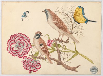 Dos pájaros marrones con claveles y mariposas de Unknown artist