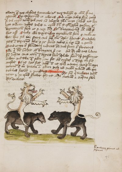 Dos leones sentados a lomos de dos osos de Unknown artist