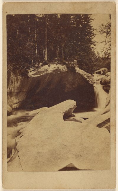 [Vista no identificada de un bosque con rocas y una caverna] de Unknown artist