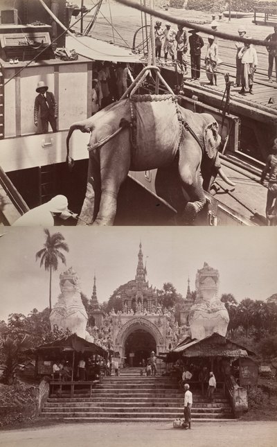Sin título: (elefante cargado en un barco, recto); (escalones y edificio, verso) de Unknown artist