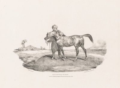 Various Subjects Drawn from Life and on Stone:  An Arabian Horse de Unknown artist