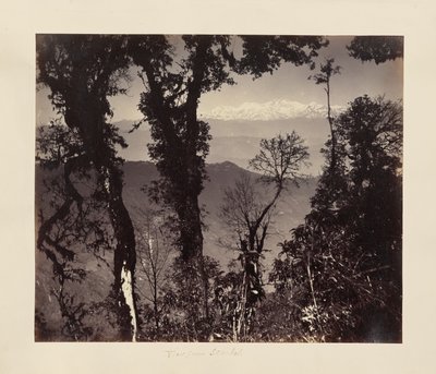 Vista desde Senchal de Unknown artist