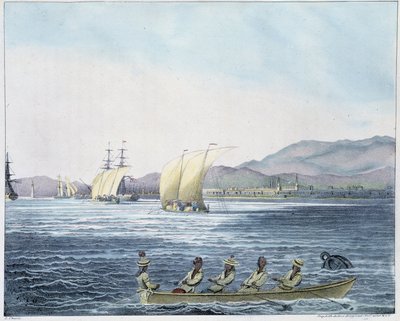 Vista de la ciudad de Mamille, Isla de Filipinas de Unknown artist