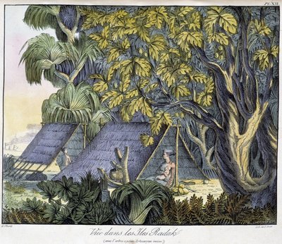 Vista de las Islas Radack de Unknown artist
