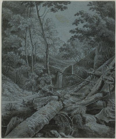 Cascada y troncos caídos en el bosque de Unknown artist
