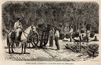 Cuando se recoge el café, los hombres recogen y transportan las pesadas cestas llenas de granos de café, mientras los niños limpian la pulpa que rodea los granos de café. Grabado para ilustrar el viaje a Brasil, historia por M. y Mme Agassiz, en 1865-1866 de Unknown artist