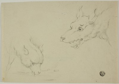 Lobo y cordero de Unknown artist