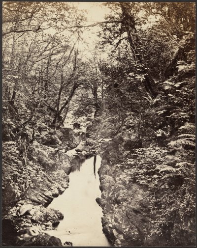 [Paisaje boscoso con arroyo] de Unknown artist