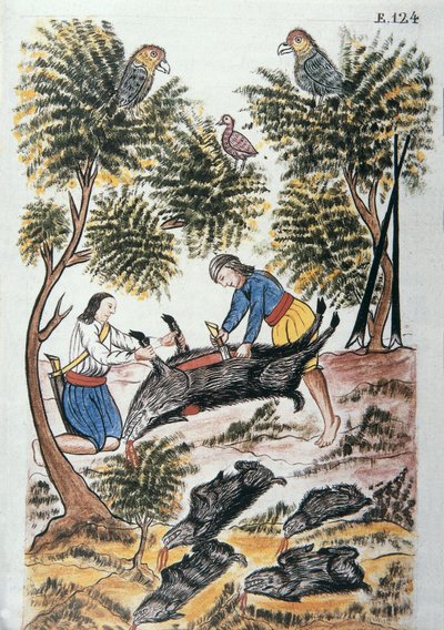 Jóvenes indios motilones sacrifican un jabalí, del libro "Trujillo del Perú" o "Códice Martínez Compañón", por Baltazar Martínez Compañón y Bujanda, obispo de Trujillo (1782-1785) de Unknown artist