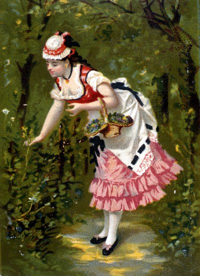 Joven mujer recogiendo flores. Cromolitografía de Unknown artist