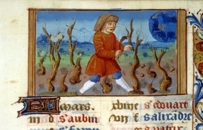 Zodiaco Aries y tamaño del árbol - Miniatura de la Edad Media (ref. 137, 047r) - Solicitar permiso a la Biblioteca Municipal de Toulouse (tel: 05 62 27 66 66) de Unknown artist