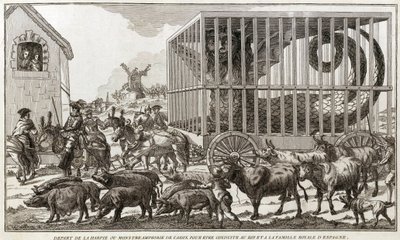 Zoomorfismo - Caricatura contra María Antonieta - Partida del Harpía o monstruo anfibio de Cádiz para ser llevado al rey y la familia real de España: Este animal fue capturado en las orillas del lago Fagua - 1784 de Unknown artist
