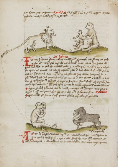 Un león con un mono y su cría; Un mono; Un oso comiéndose a un mono joven de Unknown artist/maker