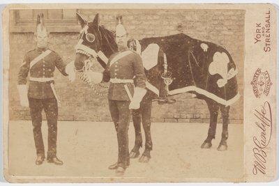 Un caballo del 3er de Unknown photographer