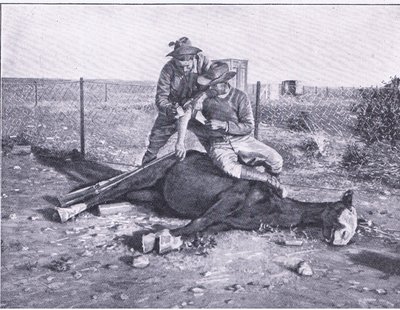 Una escapada estrecha. Un explorador herido que ha perdido su caballo, de Después de Pretoria: La Guerra de Guerrillas publicada por Harmsworth Bros Limited de Unknown photographer
