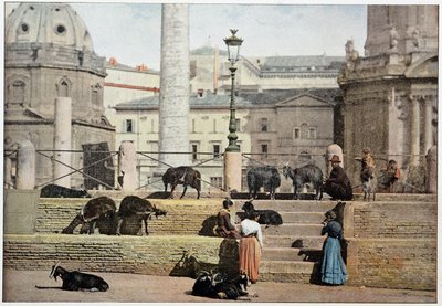 Roma antigua: vista del Foro Romano. Italia, finales del siglo XIX. de Unknown photographer