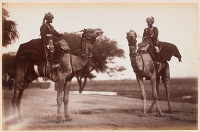 Camel Sowars en el Campamento de Ejercicios de Delhi de Unknown photographer