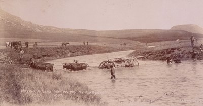 Cañón cruzando un río durante la Guerra de los Bóeres de Unknown photographer