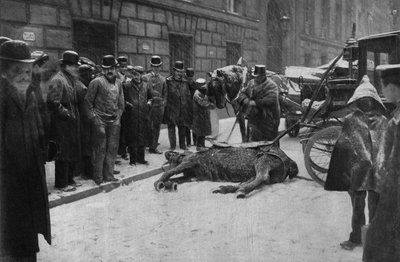 Muerte de un caballo de tiro en las calles de París. Fotografía, finales del siglo XIX, París. Colección Selva de Unknown photographer