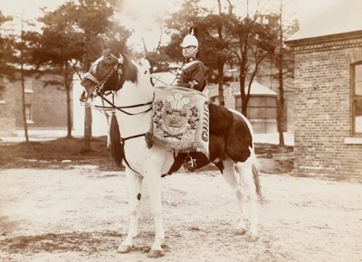 Caballo de tambor, 3er Dragones de la Guardia del Príncipe de Gales, 1895 circa de Unknown photographer